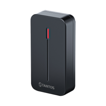фото - Tantos TS-RDR-E mini (черный)
