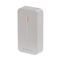 Tantos TS-RDR-E mini (серый)