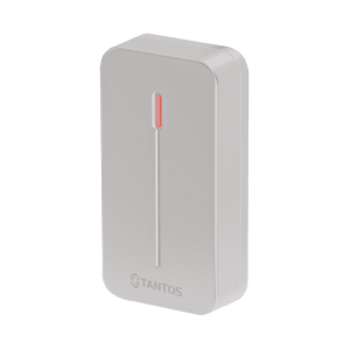 фото - Tantos TS-RDR-E mini (серый)