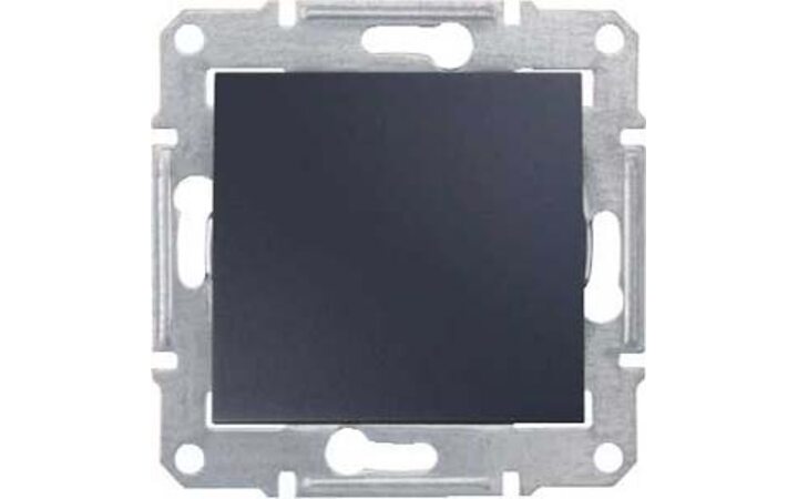 фото - Schneider Electric SE Sedna Графит Заглушка (SE SDN5600170)