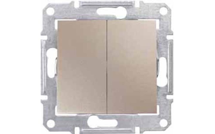 фото - Schneider Electric SE Sedna Титан Переключатель 2-клавишный 10А (сх.6+6) (SE SDN0600168)