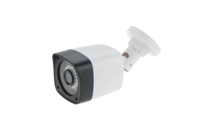 фото - AltCam DCF22IR