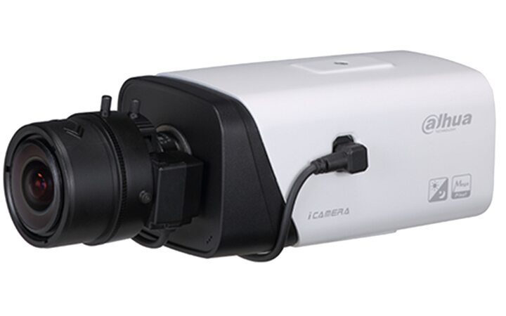 фото - Dahua DH-IPC-HF5241EP-E