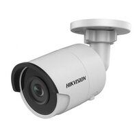 Hikvision DS-2CD2055FWD-I (4mm) 