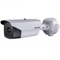 Hikvision DS-2TD2166-25/V1