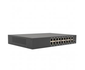 AltCam POE16