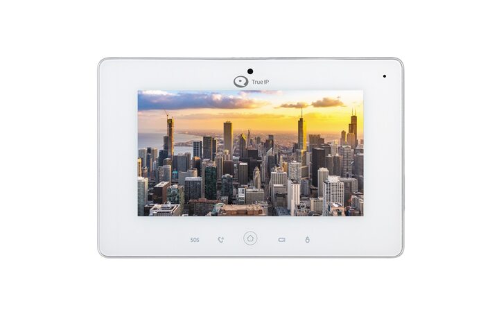 фото - True IP TI-3010WPWC