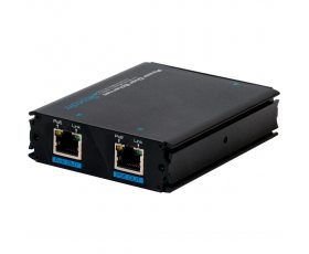 RVi-1NE-P10