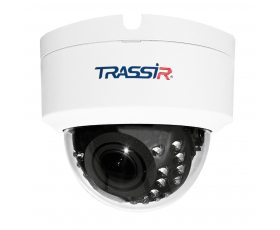 TRASSIR TR-D2D2 v2(2.7-13.5 мм)