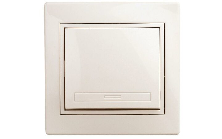 фото - Выключатель 1-кл. СП Plano 10А IP20 1-101-02 250В сл. кость Intro Б0027596