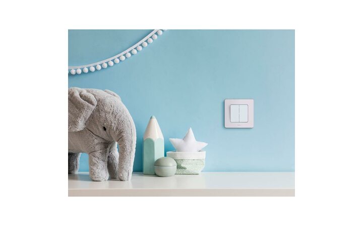 фото - Выключатель 2-кл. Inspiria 250В 10AX бел. Leg 673620