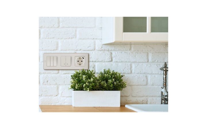 фото - Выключатель 3-кл. Inspiria 250В 10AX сл. кость Leg 673641