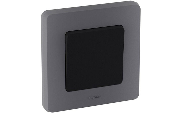 фото - Рамка 1-м Inspiria дым. Leg 673937