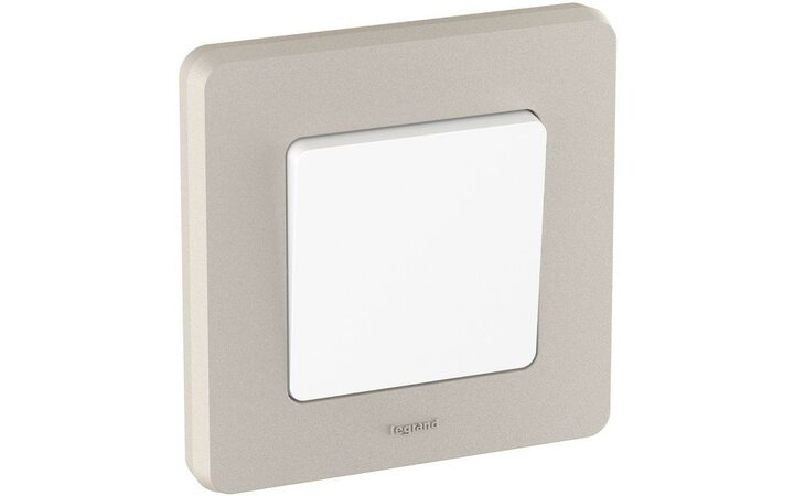 фото - Рамка 1-м Inspiria шампань Leg 673938