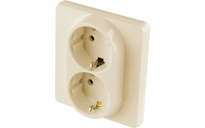 фото - Розетка Inspiria 16А 250В 2х2P+E немецк. стандарт сл. кость Leg 673751