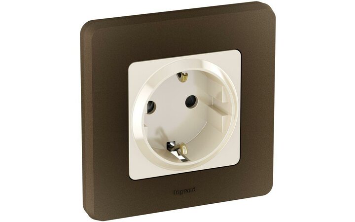 фото - Розетка 1-м СП Inspiria 16А IP20 250В 2P+E защ. шторки немецк. стандарт сл. кость Leg 673731
