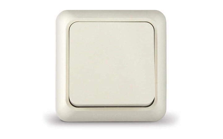 фото - Выключатель 1-кл. ОП Олимп 10А IP20 сл. кость UNIVersal Б-О0021