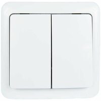 Выключатель 2-кл. 1п ОП Viola 10А IP20 бел. LEZARD 751-0200-101