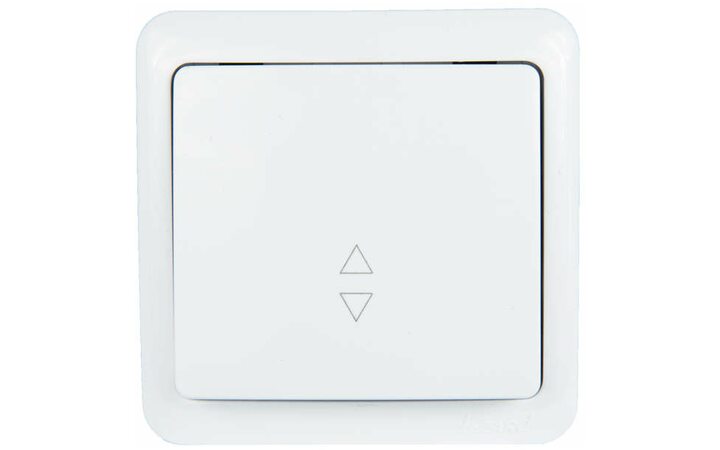 фото - Выключатель проходной 1-кл. 1п ОП Viola 10А IP20 бел. LEZARD 751-0200-105