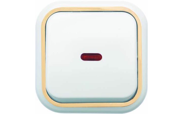 фото - Выключатель 1-кл. ОП Валентина 10А IP20 А16-054 с индикацией бел./зол. Кунцево 7633