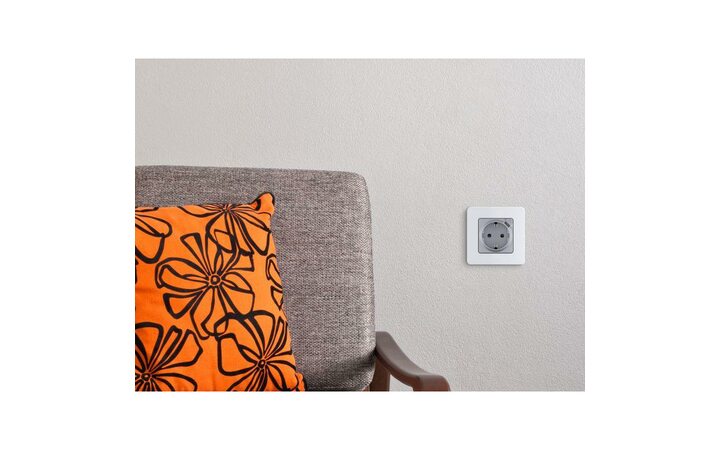 фото - Механизм розетки 1-м СП Inspiria 16А IP20 250В 2P+E немецк. стандарт со встроен. зарядным устройством USB C 1.5А 5В алюм. Leg 673772