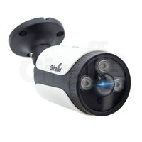 Giraffe GF-IPIR4252MP5.0 c сервисом IPEYE