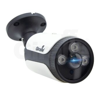 Giraffe GF-IPIR4252MP5.0 c сервисом IPEYE