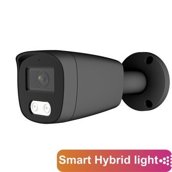 фото - AltCam ICF51IR(RU)(b)