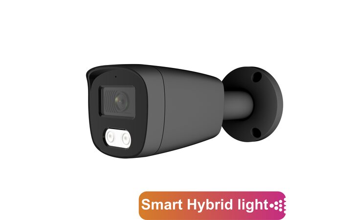 фото - AltCam ICF51IR(RU)(b)