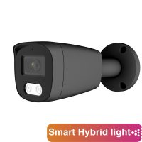 AltCam ICF83IR(RU)(b)