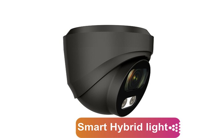 фото - AltCam IDMF83IR(RU)(b)