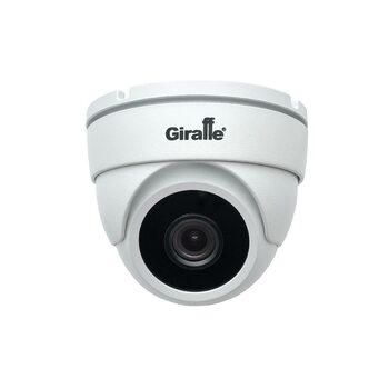 фото - Giraffe GF-IPVIR4305MP2.0 v2 (2.8) c сервисом IPEYE