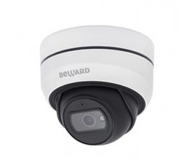 Beward SV2010DBZ