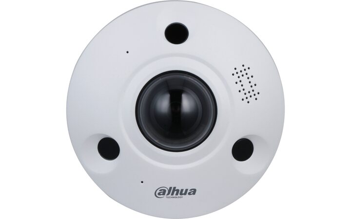 фото - Dahua DH-IPC-EBW81242P-AS-S2