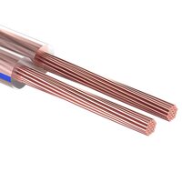 фото - Кабель акустический 2х0,75 мм², прозрачный BLUELINE, мини-бухта 5 м, REXANT