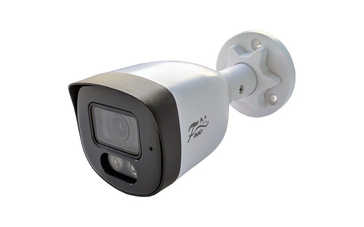 фото - Fox FX-IPC-С20FP-IR AL