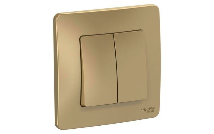 фото - Выключатель 2-кл. СП Blanca 10А IP20 (сх. 5) 250В титан SE BLNVS010504