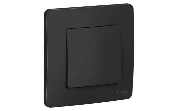 фото - Выключатель 1-кл. СП Blanca 10А IP20 (сх. 1) 250В антрацит SE BLNVS010106