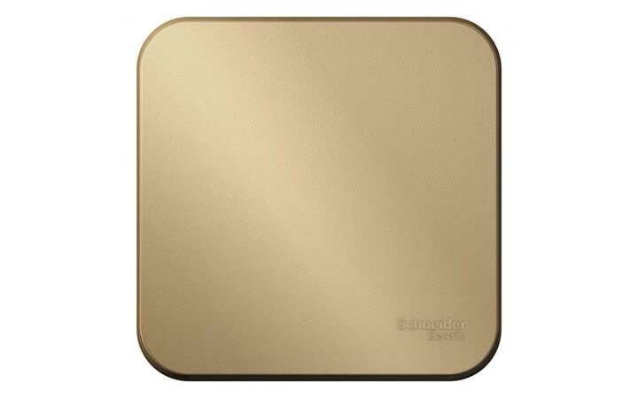 фото - Выключатель 1-кл. ОП Blanca 10А IP20 (сх. 1) 250В с изолир. пластиной титан SE BLNVA101014