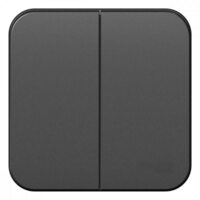 Выключатель 2-кл. ОП Blanca 10А IP20 (сх. 5) 250В с изолир. пластиной антрацит SE BLNVA105016