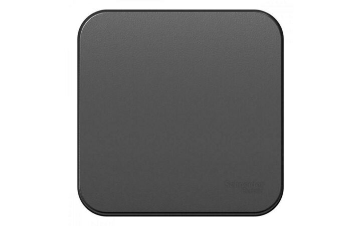 фото - Переключатель проходной 1-кл. ОП Blanca 10А IP20 (сх. 6) 250В с изолир. пластиной антрацит SE BLNVA106016