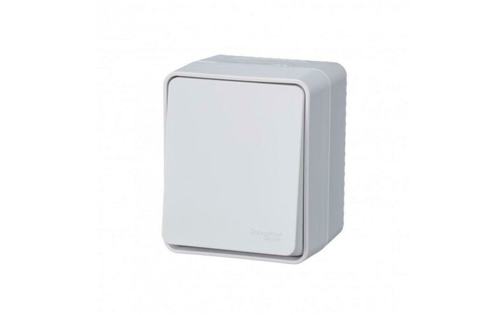 фото - Переключатель проходной 1-кл. ОП AtlasDesign Profi54 IP54 10AX бел. SE ATN540161