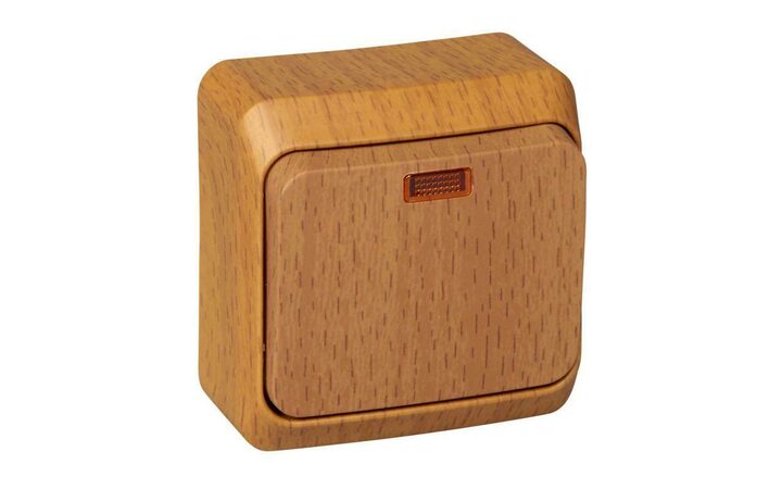 фото - Выключатель 1-кл. ОП Этюд Дача 10А IP20 с подсветкой бук SE BA10-005T