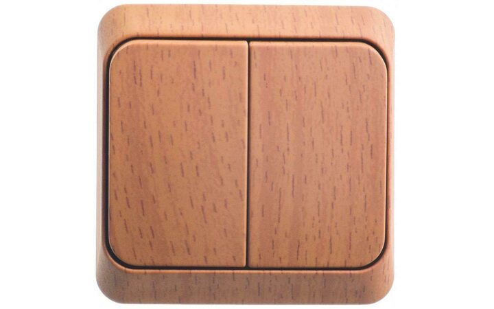 фото - Выключатель 2-кл. ОП Этюд Дача 10А IP20 с подсветкой бук SE BA10-006T