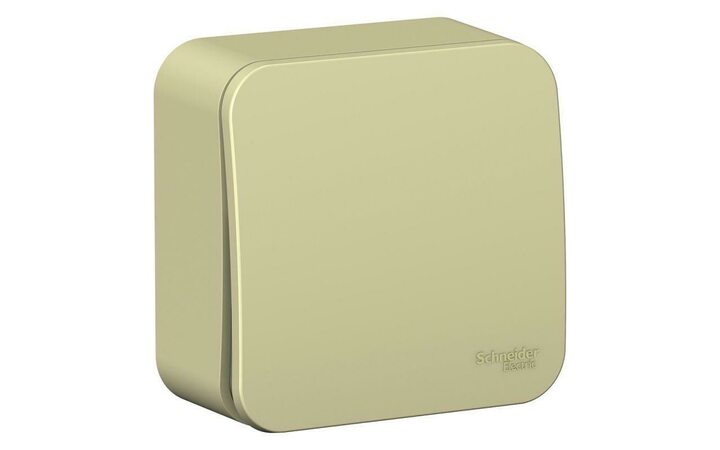 фото - Выключатель 1-кл. ОП Blanca 10А IP20 (сх. 1) 250В с изолир. пластиной беж. SE BLNVA101017