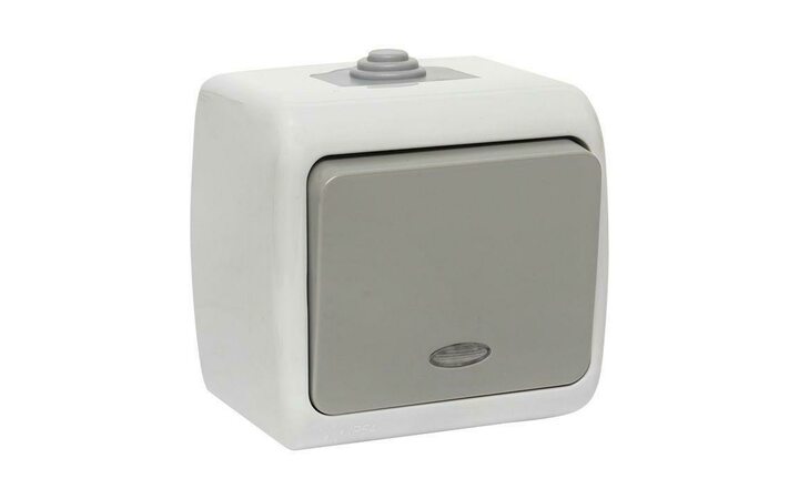 фото - Выключатель 1-кл. ОП Мурманск 10А IP54 с индикатором сер. EKF EFV10-121-30-54