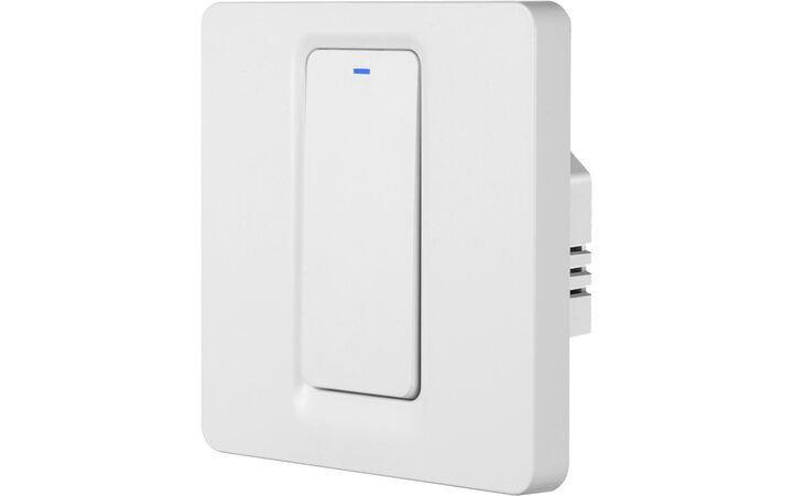 фото - Умный выключатель ROXIMO, однокнопочный, SWBTN01-1