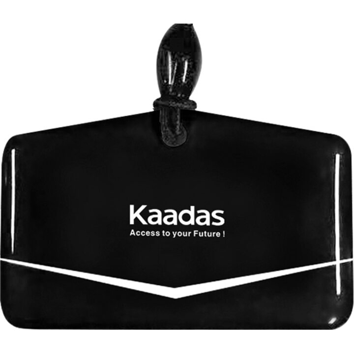 фото - Карта доступа к замку Kaadas