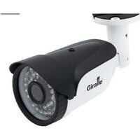 Giraffe GF-IPIR4352MP2.0 (2.8) c сервисом IPEYE