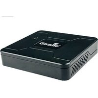 Giraffe GF-DV0404 v3 c сервисом IPEYE